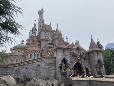 2022東京旅行2日目 ①TDLを満喫☆