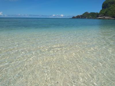 阿嘉島で夏合宿8日間～6日目　島での日常・阿嘉ビーチで亀と戯れる