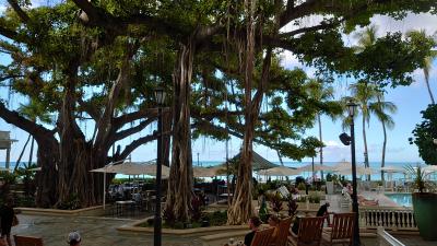 コロナ渦&円安渦に3年ぶりの海外旅行、7年ぶりのハワイ~3