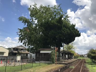 北条鉄道（兵庫県）：大正時代の駅舎（国登録有形文化財）が3駅残存する旧国鉄北条線　