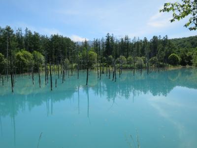 2022年8月 富良野・美瑛・旭川 3泊4日の旅<第4日>丘のまち美瑛→青い池→新千歳空港
