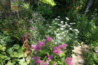 初夏の信州　薔薇紀行♪　Vol.115 ☆小諸：サムズガーデン　初夏の花と薔薇の美しい庭園♪