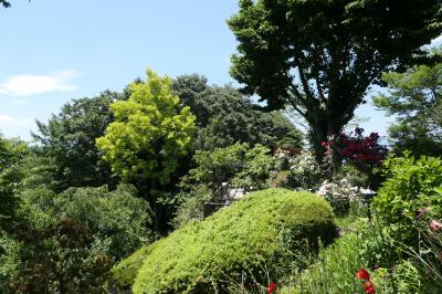 初夏の信州　薔薇紀行♪　Vol.116 ☆小諸：サムズガーデン　初夏の花と薔薇の美しい庭園♪