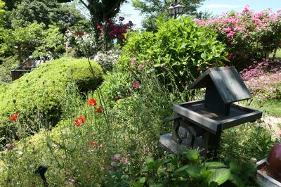 初夏の信州　薔薇紀行♪　Vol.117 ☆小諸：サムズガーデン　初夏の花と薔薇の美しい庭園♪