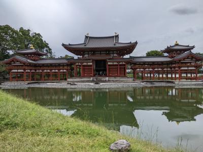 親友親子に便乗しました京都奈良の旅。