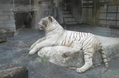 ★オータムナイトＺＯＯ「東武動物公園」★－その１－　昼の部：園内ぶらぶら歩き