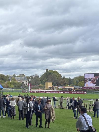 とりあえず凱旋門賞(雑)