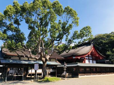 世界遺産・宗像大社を巡る旅 《辺津宮編》