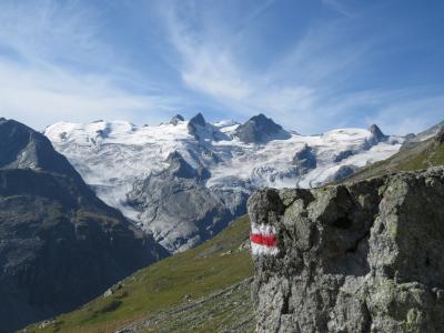 2022年スイス(アヴェルス谷とエンガディン)旅行 7日目 2022年8月8日(月)  Murt&#232;l からCoaz小屋往復