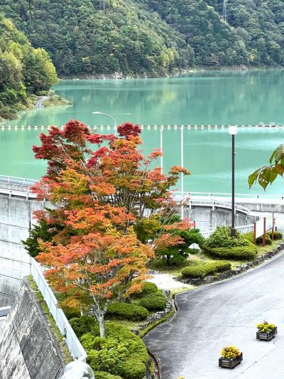 清流の高瀬渓谷と、少し紅葉の大町ダム