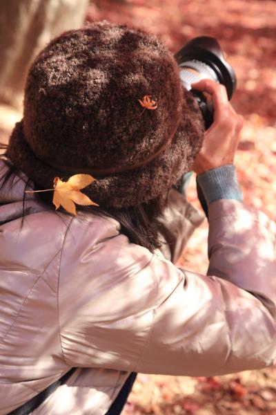 ちいさい秋 見つけた - たつの