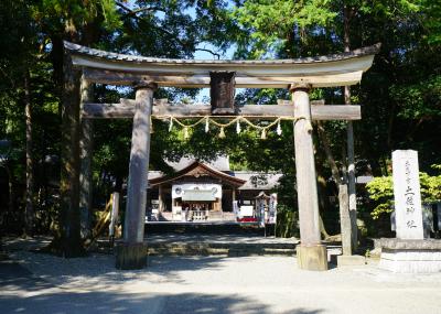 一宮巡詣～土佐・土佐神社～ 秋の弾丸・高知旅（3）