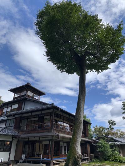 きょうとさんぽ　　旧三井下鴨別邸へ。自然の中の静かな邸宅。