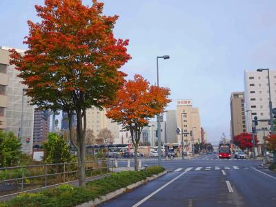 今年も北へ【続編／帯広の夜と全国旅行支援】