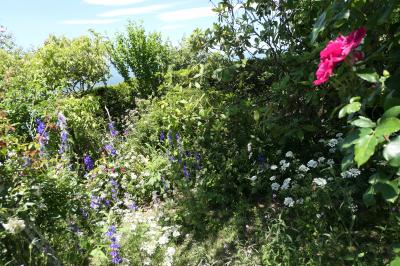 初夏の信州　薔薇紀行♪　Vol.132 ☆小諸：サムズガーデン　初夏の花と薔薇の美しい庭園♪