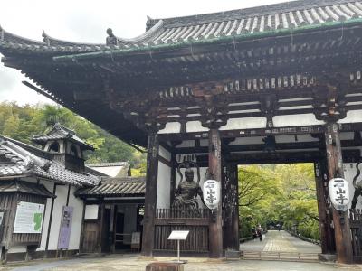 2022.10　琵琶湖周辺観光　最終日前半・石山寺