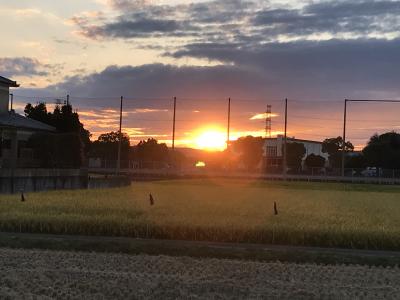 「鎌倉殿の１３人」ゆかりの地　岩殿観音（正法寺）　吉見観音(安楽寺）