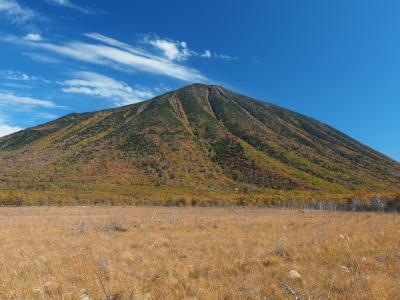 爽快！奥日光紅葉ハイキング　湯滝、戦場ヶ原、竜頭の滝へ