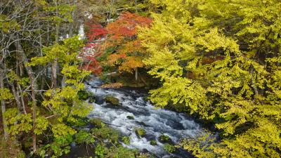 阿寒湖、紅葉名所滝見橋、屈斜路湖、釧路川源流ツアー　紅葉の道東2