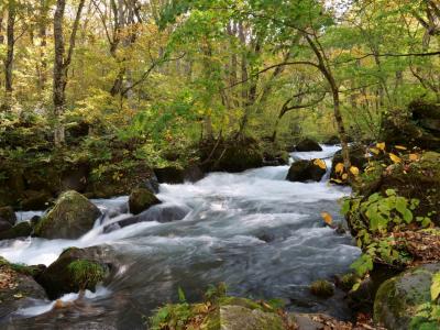 紅葉の奥入瀬渓流.青森県十和田湖 2022年紅葉の色づき状況♡奥入瀬渓流』奥入瀬・十和田湖(青森県