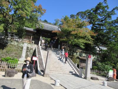 伊豆、箱根、鎌倉を巡る旅　　三日目伊豆半島先端近くから修善寺、静岡へ
