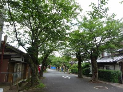 路線バスで倉吉線の廃線跡めぐり（西倉吉、関金温泉）