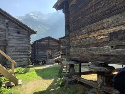 スイス 3 ③サースフェー→ツェルマット