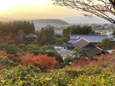 2020 紅葉の京都 1-レンタルサイクルで二条城→銀閣寺