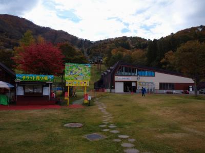 奈良井宿、いもり池、戸隠中社の紅葉を見に行きました