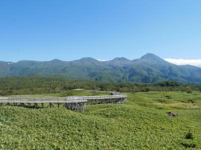 サンゴ草を求めて秋の道東③　最高のお天気の中知床五湖で地上遊歩道と高架木道をウォーキング