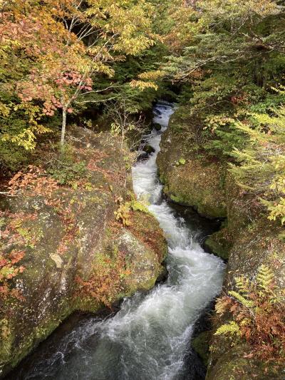 思い立って日光へ、何度目かの初めてへ。竜のしっぽも