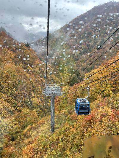 雨の苗場ドラゴンドラ、田代ロープウェイ、八海山ロープウェイ／苗場プリンスホテル宿泊／原田農園、吉祥寺