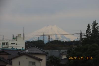 すっかり雪化粧をした富士山