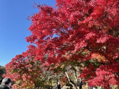 大内宿、塔のへつり、只見線、桧原湖、五色沼　秋を彩る福島10の紅葉名所1日目