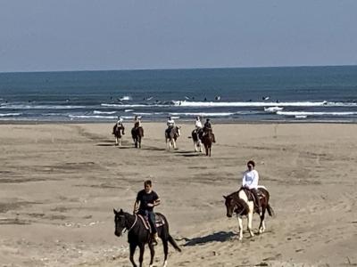 2022年10月九十九里浜の海岸線を馬で外乗体験