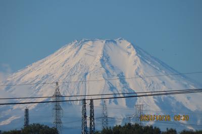 美しい富士山がくっきりと見られました