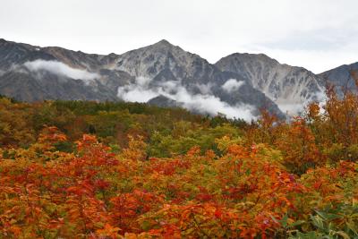 シニアの２０２２年　紅葉の季節ですねっ［２］　白馬（八方尾根自然探求路）