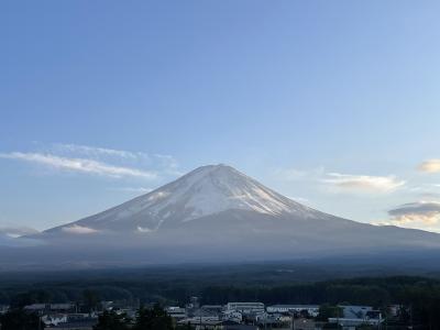 季節のフルーツ狩り食べ放題＆約３Kgのお持ち帰り！秋の味覚満喫ミステリー　バスツアー