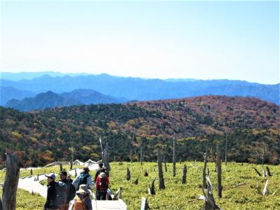 快晴の東大台ケ原