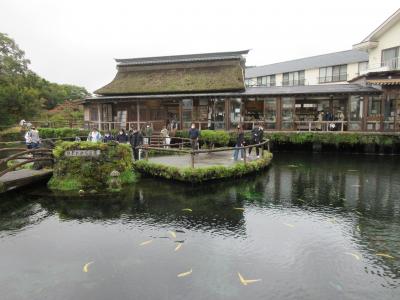 富士より食事？の旅　2　忍野八海と浅間神社