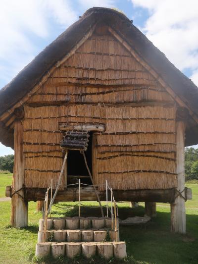 青森‐１　三内丸山遺跡a  縄文時代中期の大規模集落跡　☆竪穴住居・高床倉庫の復元