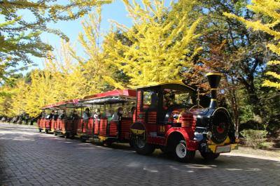 秩父ミューズパークの黄葉