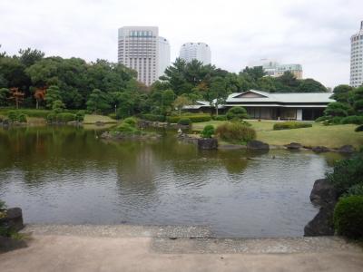 海浜幕張の公園を歩いてみた（散歩です）