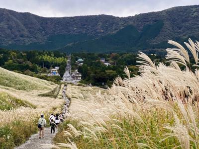 色づき始めの箱根ひとり旅＠「いざ、神奈川！」全国旅行支援　前編