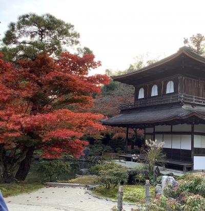 2020 紅葉の京都　2泊3日