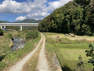 渋沢駅から表丹沢県民の森、黒竜の滝 20kmハイキング