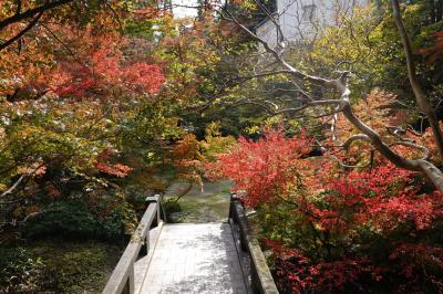 ☆紅葉の見頃はまだ早かった石油王の館☆　２０２２年１０月　中野邸記念館＆旧笹川家住宅＆県政記念館