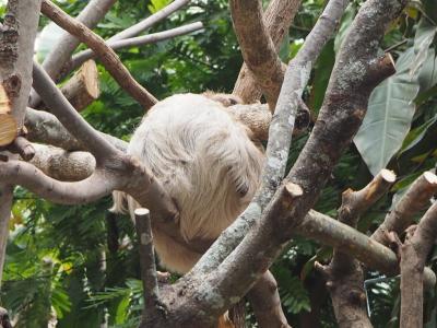 2022年4月、くまもと花博の開催されている熊本市動植物園に行ってきました。③