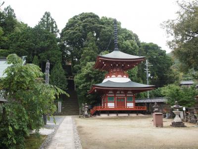 春の紀州　西国札所巡りと高野山　ひとり旅【８】丹生酒殿神社・慈尊院・丹生官省符神社