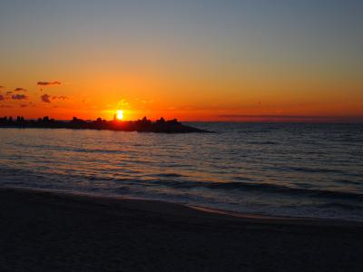 和歌山にパンダと滝を見に行ってきた!①